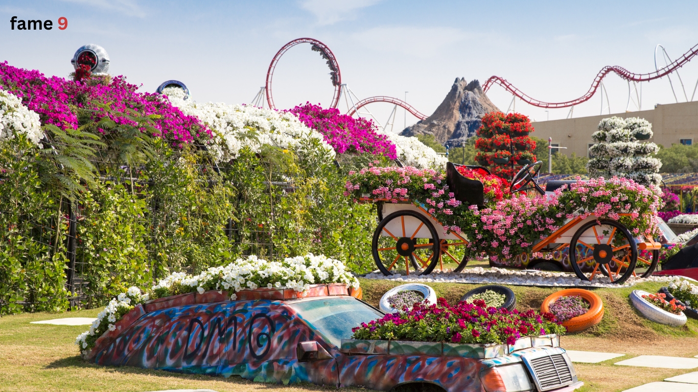 Senior Citizen Miracle Garden Dubai Tour Package