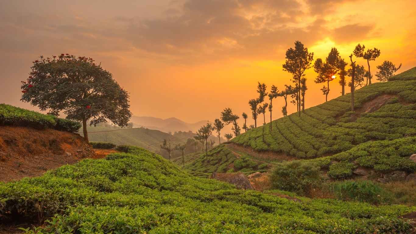 Senior Citizen kerala Tour Package